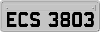 ECS3803