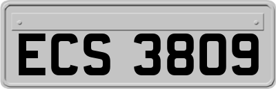 ECS3809