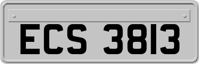 ECS3813