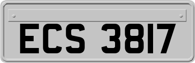 ECS3817