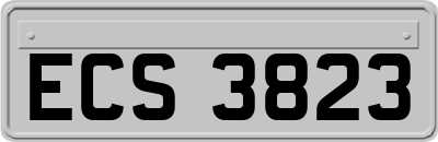 ECS3823