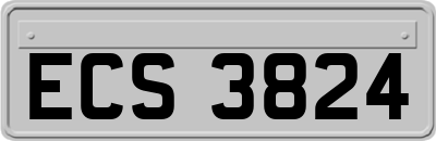 ECS3824