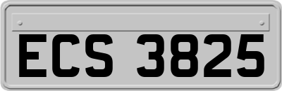 ECS3825