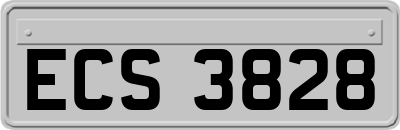 ECS3828