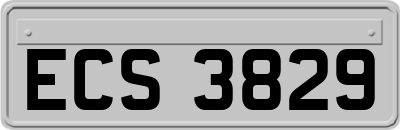ECS3829