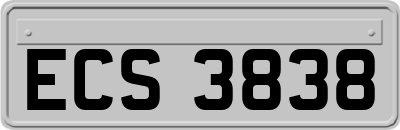 ECS3838