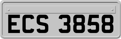 ECS3858
