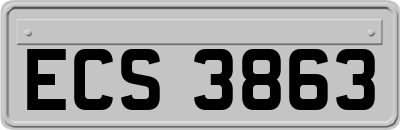 ECS3863