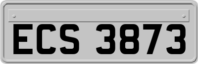 ECS3873