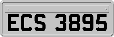 ECS3895