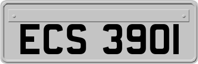 ECS3901