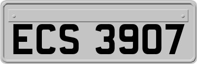 ECS3907