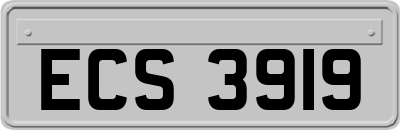ECS3919