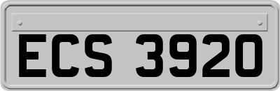 ECS3920