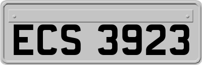 ECS3923