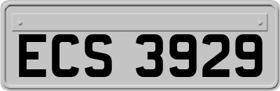 ECS3929