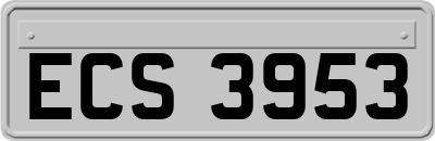 ECS3953