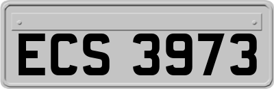 ECS3973