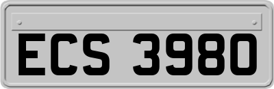 ECS3980
