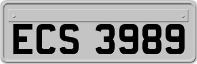 ECS3989