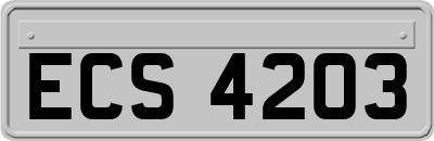 ECS4203