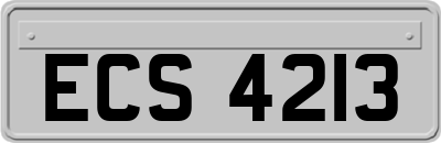 ECS4213