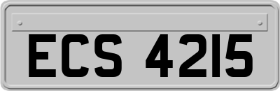 ECS4215