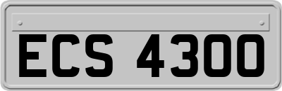 ECS4300