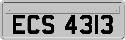 ECS4313