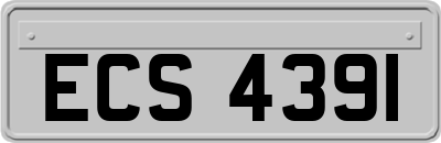 ECS4391
