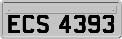 ECS4393