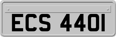 ECS4401