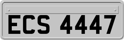 ECS4447
