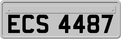 ECS4487