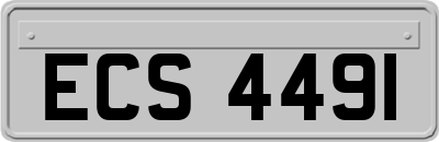 ECS4491