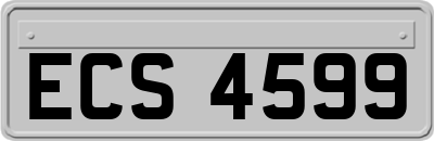 ECS4599