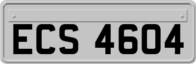 ECS4604