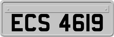 ECS4619