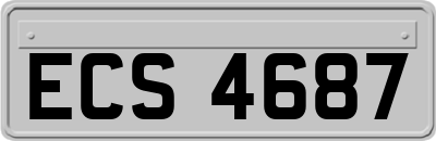ECS4687