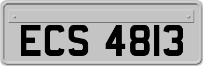 ECS4813