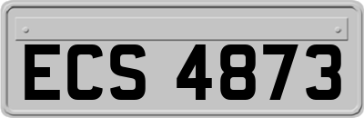 ECS4873