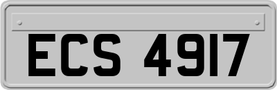 ECS4917