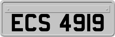 ECS4919