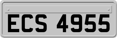 ECS4955
