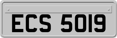 ECS5019