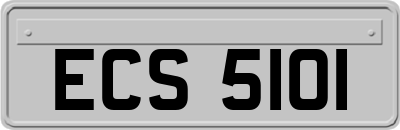 ECS5101