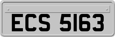 ECS5163