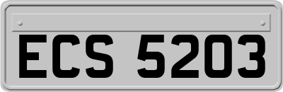 ECS5203