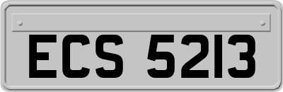 ECS5213