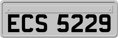 ECS5229